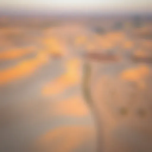 Aerial view of Al Dhafra's unique desert landscape