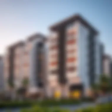 Contemporary Architecture in Al Falah Modern residential buildings in Al Falah highlighting contemporary architecture