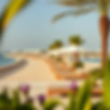 Relaxation areas with sun loungers and umbrellas at Creek Beach