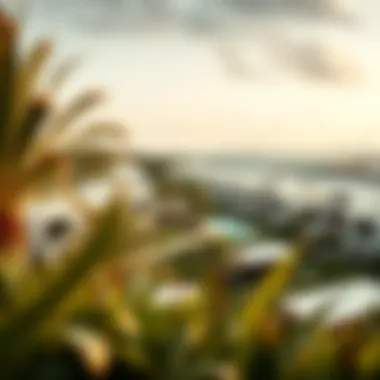 Panoramic View of Beach Villas Panoramic view of beach villas in a serene neighborhood