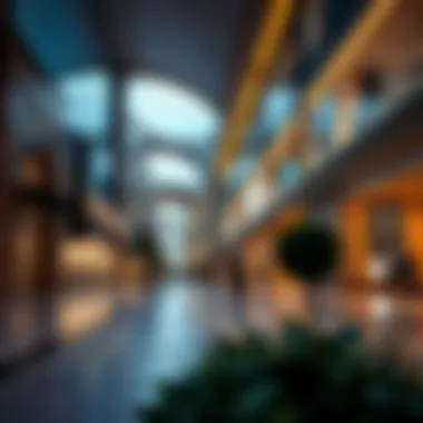 Luxury Shopping in Downtown Dubai Elegant shopping promenade lined with luxury boutiques