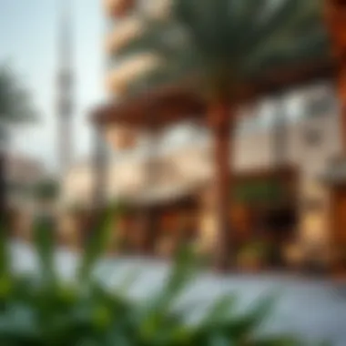 Amenities and Lifestyle in Karama Community amenities in Dubai Karama