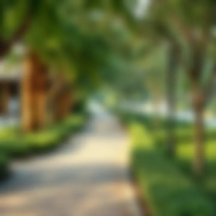 A serene spot in Al Barsha Park with lush greenery and walking paths