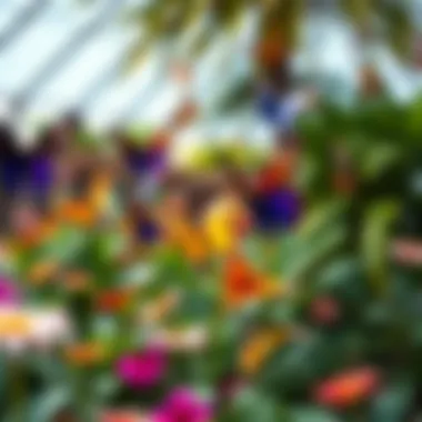 The Colorful World of Dubai Butterfly Garden A representation of the Dubai Butterfly Garden showcasing colorful butterflies