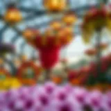 A panoramic view of Dubai's Miracle Garden featuring vibrant flower arrangements