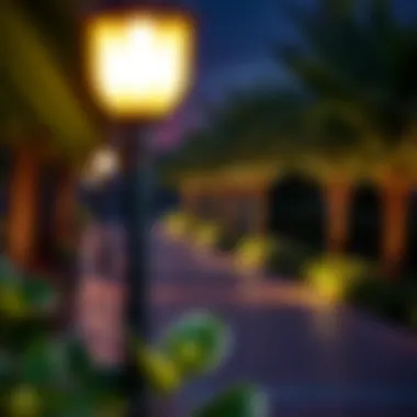 Evening Illumination at Zabeel Park An evening scene at Zabeel Park with illuminated pathways and greenery
