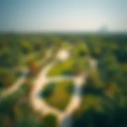 Aerial view of a vibrant park in Dubai showcasing lush greenery and pathways.