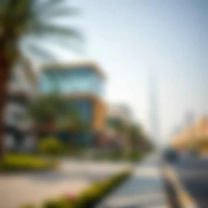 Impact of mega projects on local communities and economy