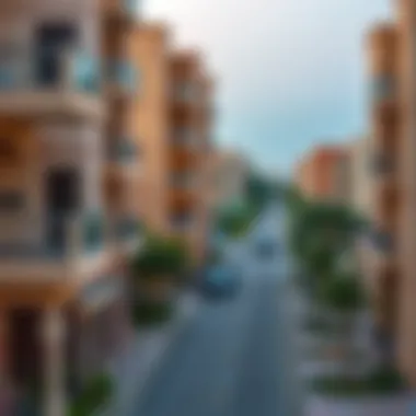 Al Warqa neighborhood view