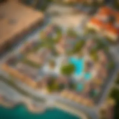 Ranch Community Layout in Dubai An aerial shot of a ranch community in Dubai illustrating the unique layout and amenities offered