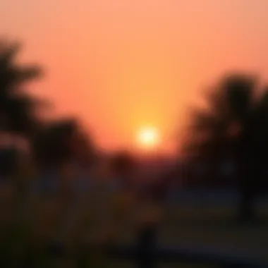 Serene Ranch Sunset in Dubai A tranquil sunset over a Dubai ranch, depicting the serene lifestyle and environment of ranch living