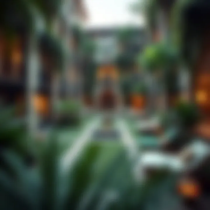 Tranquil courtyard with greenery and lounging areas