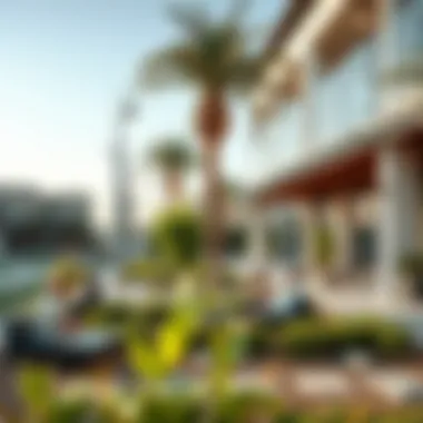 Community Spaces in Sharjah Sustainable City Community areas promoting social interactions and eco-friendly lifestyles.