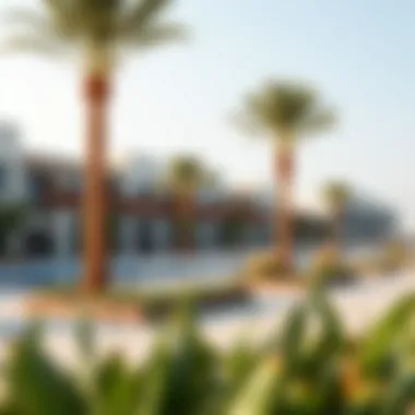 Community Amenities in South Bay Vibrant community amenities in South Bay Dubai designed for modern living