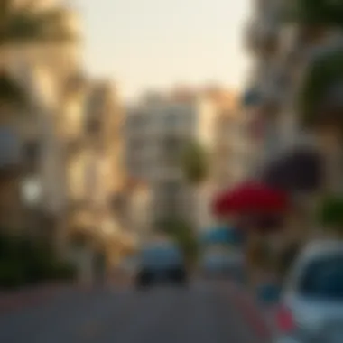 Karama Neighborhood Amenities Overview of Karama neighborhood highlighting local amenities