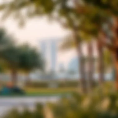 Recreational Space in Tecom Tranquil park in Tecom offering relaxation and recreation