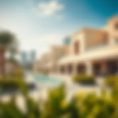 Local amenities and lifestyle offerings in Mohammad Bin Zayed City