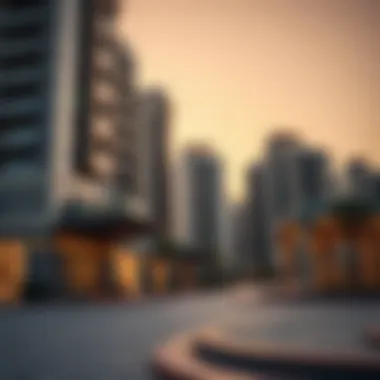 Modern real estate developments in Mohammad Bin Zayed City