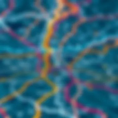 Extensive Network Map of Dubai Metro Map illustrating the extensive metro network of Dubai
