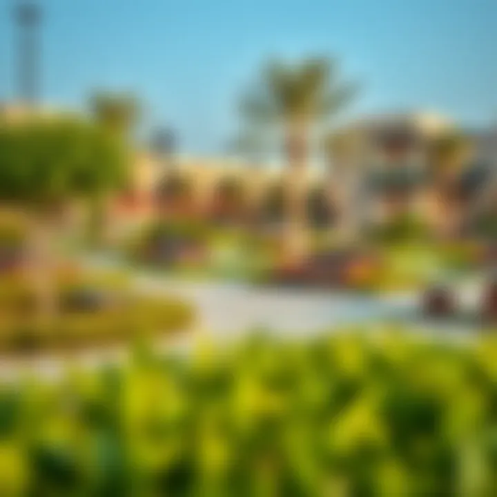 Vibrant community park in Mushrif Village with lush greenery and seating areas
