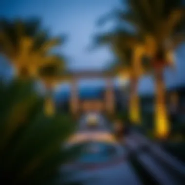 Scenic Views of Nad Al Hammar Gardens Scenic views showcasing the gardens' design