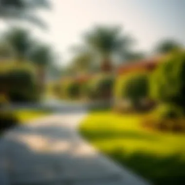 Serene Walking Paths in Nad Al Hammar Gardens Serene walking paths within the gardens