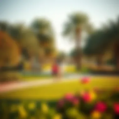 Community Park in الرقة Community park in الرقة with families enjoying outdoor activities