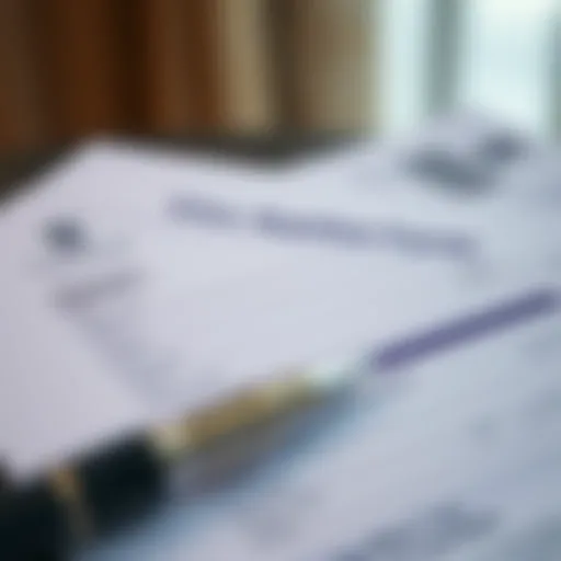 UAE tourist visa application form filled out